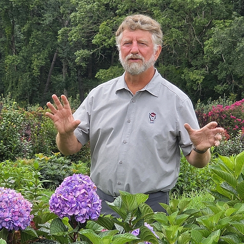Tom Ranney shown with Hydrangea flowers in the foreground and Lagerstroemia flowers and woodland in the background