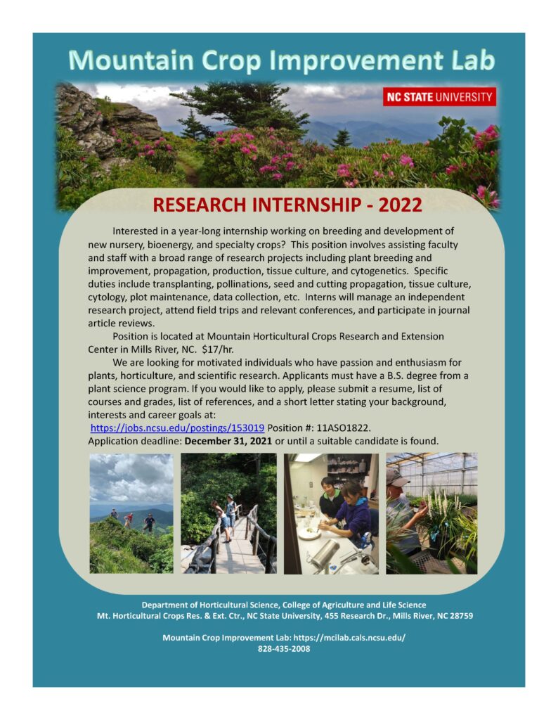 Research internship flyer image