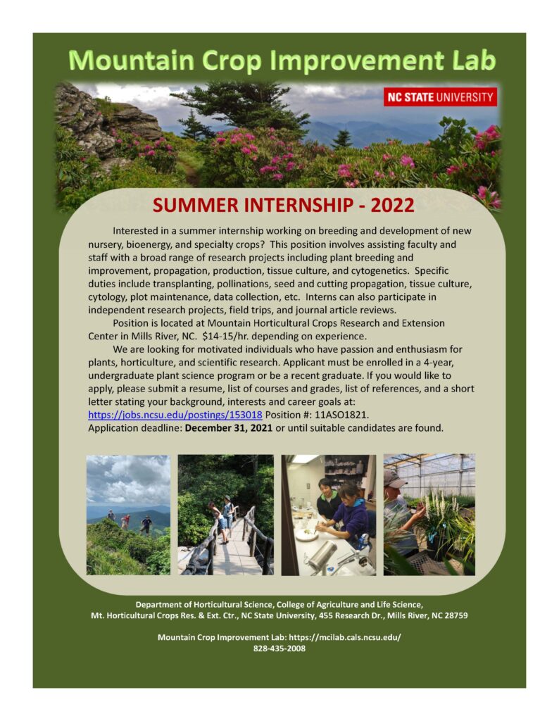 2022 summer research internship flyer image