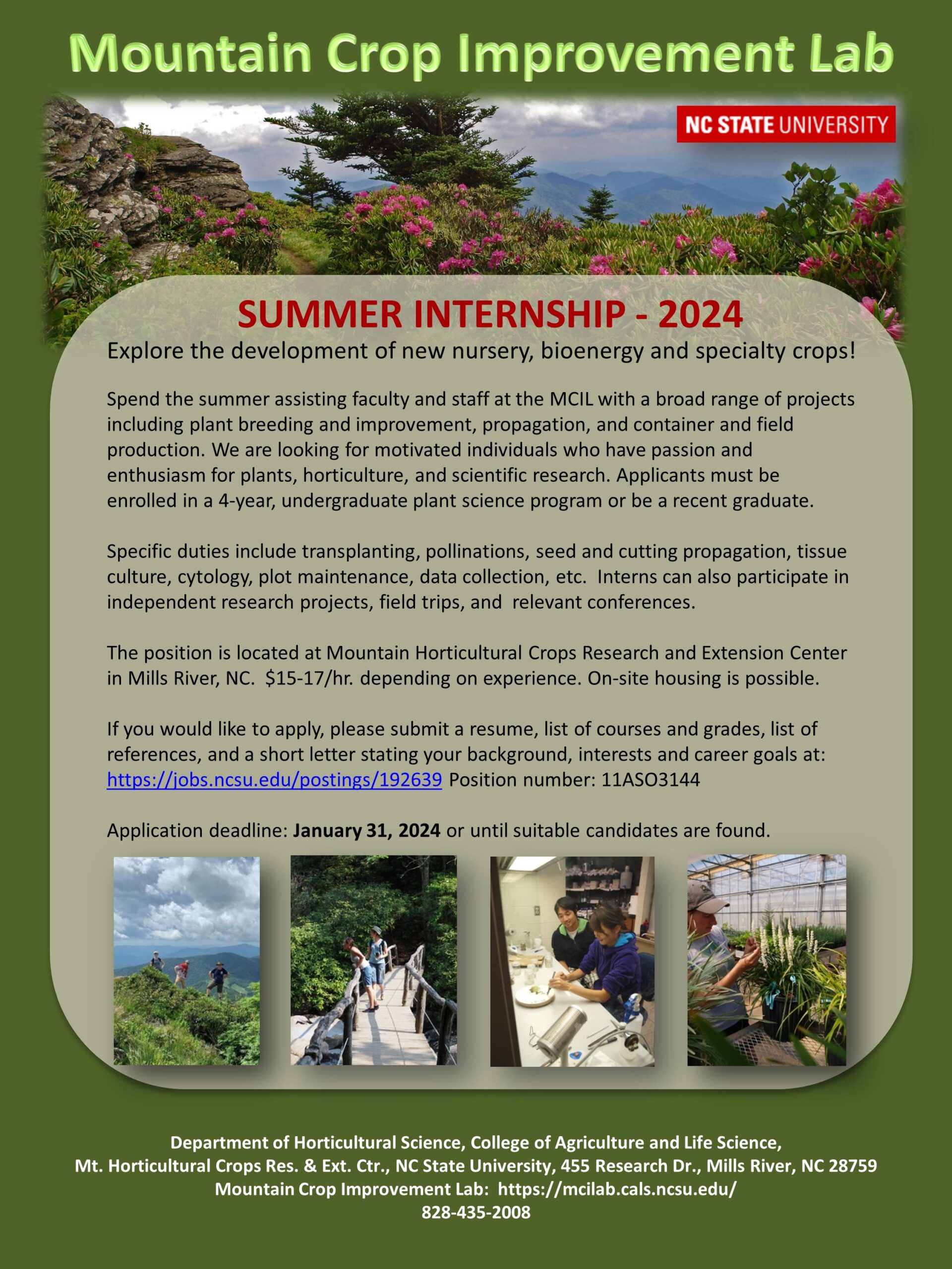 summer internship brochure picture